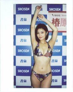 [1 иен старт ]HIT'S/.. love 1of1 Event фотосъемка широкий Cheki ( большой цветочный принт бикини / документ Izumi grande ) 240412-827