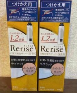 未開封新品《リライズ〉白髪用髪色サーバー　ふんわり仕上げ　つけかえ2本　クーポン無しの場合は4950円に変更可能