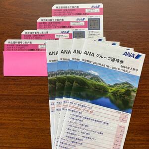 ANA 株主 有効期限 (2024.6/1〜11/30)