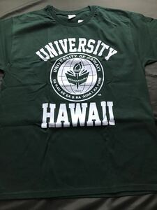 HAWAIIハワイ　ハワイ大学デザイン　Tシャツ　US L