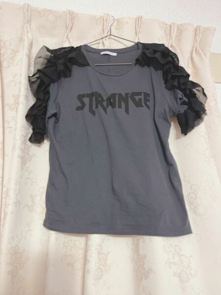 ZARA Tシャツ