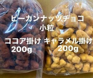 人気味比べ2品　ピーカンナッツキャラメル掛け小粒200g ×1 ピーカンナッツココア掛け小粒200g アウトレットチョコ