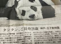 28歳になった頃のタンタン　神戸新聞　2023年9月17日(日) １紙　神戸 王子動物園 旦旦 ジャイアントパンダ_画像3