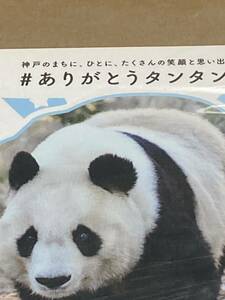 激レア　ありがとう タンタン　数量限定　ポストカード　令和3年　2021年　神戸市立王子動物園 ジャイアントパンダ 旦旦　パンダ　残り僅か