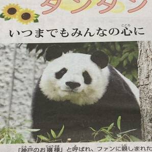 さよなら、タンタン いつまでもみんなの心に　2024年4月11日　毎日小学生新聞 記事　ジャイアントパンダ　神戸市立王子動物園　旦旦