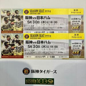 5/30( дерево ) Hanshin vs Япония ветчина переменный ток битва Koshien ivy сиденье сверху уровень 2 полосный номер 