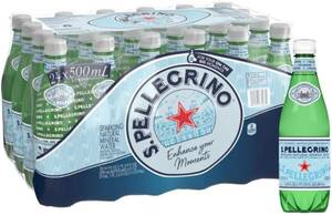 サンペレグリノ (S.PELLEGRINO) 炭酸水 PET 500ml [直輸入品] × 24本