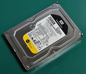 WD WD2503ABYZ (250GB/SATA)[管理:SA1038]