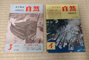 【まとめ売り】1951年 科学雑誌 自然 SHIZEN 2冊 原爆 中央公論社