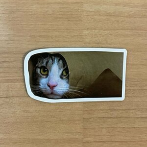 【即日発送】猫ミーム ステッカー 1枚 隠れ