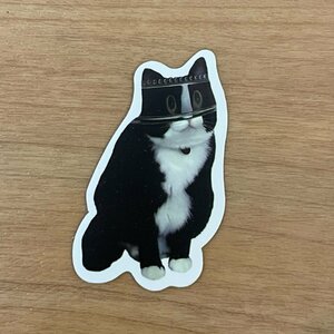 【即日発送】猫ミーム ステッカー 1枚 アイマスク