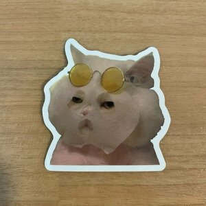 【即日発送】猫ミーム ステッカー 1枚 シール マスク