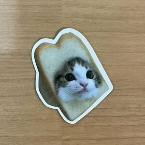 【即日発送】猫ミーム ステッカー 1枚 パン