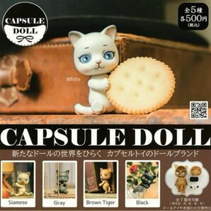 ガチャ CAPSULE DOLL カプセルドール 猫 全5種 コンプリートセット