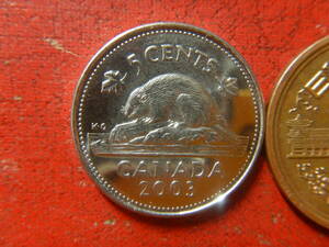 外国・カナダ／５セント・ニッケル貨（2003年）　240509