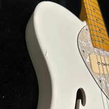 Fender USA 69 TL-Thinline American Vintage Series telecaster special modified!!_画像2