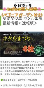 最終値下げ＊4枚！即日発送【追跡あり】なばなの里&ベゴニアガーデンチケット