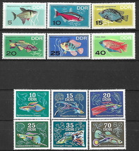 ★1966-1976年 - 東ドイツ - 「熱帯魚」6種完 + 「グッピー」6種完 - 未使用(MNH)★RR-269_画像1