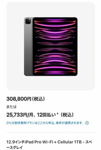 iPad Pro 12.9インチ 第6世代 Wi-Fi ＋ Cellular 1TB メモリ16GB 2022年 フィルム&ケース