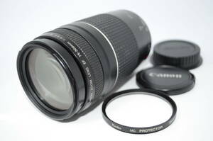 【外観並級】Canon EF 75-300mm 4-5.6 Ⅲ キャノン　#s5608-1