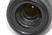 【外観特上級】Nikon AF-S DX VR Zoom Nikkor 55-200mm f/4-5.6G IF-ED_画像4