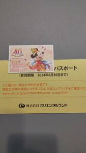 東京ディズニーリゾート パスポート 1枚 送料無料