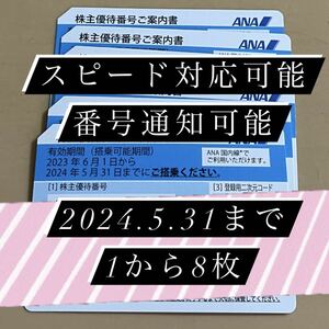 ANA株主優待券　2024.5.３１まで　スピード対応可能