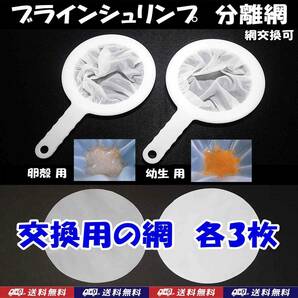 【送料込】ブラインシュリンプ分離網 M　 2種セット　交換用網（各3枚）　濾し網　 ミジンコも可　金魚メダカ飼育用品　水槽用品