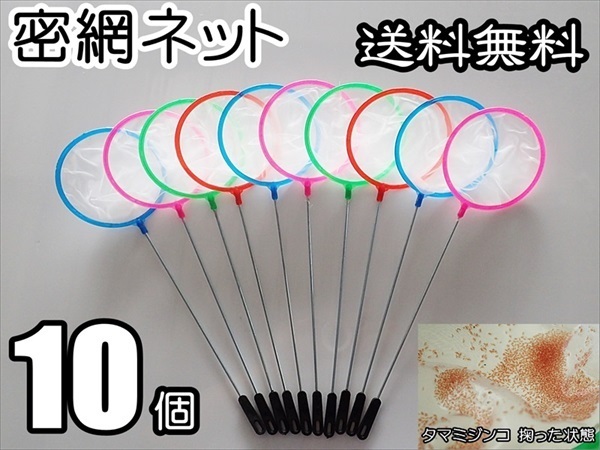 【送料込】密網　 10個　　丸型 　水槽用品 　即決　　ミジンコ メダカ針子 シュリンプ等用に　ゾウリムシは掬えません　ネット 10本