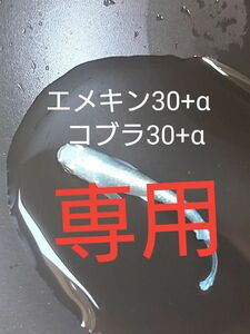 【タナメダカ】エメキン30+αコブラ30+α