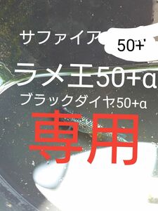 【タナメダカ】サファイア50+α ラメ王50+α ブラックダイヤ50+α