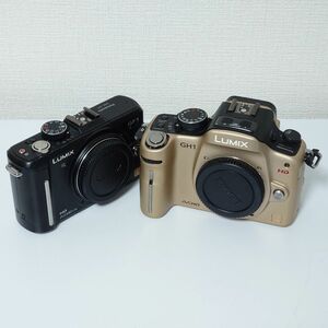 LUMIX GF1 GH1 ボディ 2台セット