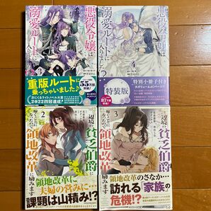 辺境の貧乏伯爵に嫁ぐことになったので領地改革に励みます2巻3巻 悪役令嬢は溺愛ルートに入りました！？3巻4巻