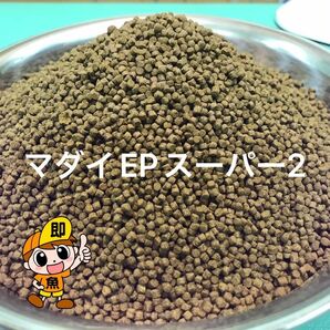 コスパ最高 マダイEPスーパー2号（2㎜）1kg らんちゅう 土佐金 小型熱帯魚に最適な餌です タンパク質50%