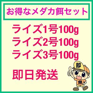 お得なメダカ餌セット　ライズ1 2 3号　100gづつ合計300g