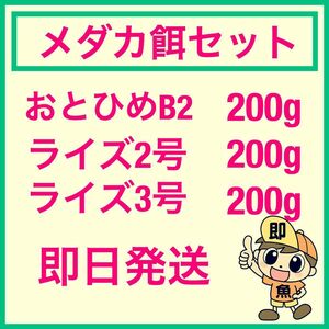 お得なメダカ餌セット 各200gづつ合計600g おとひめB ライズ2号 ライズ3号