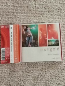 DVD『LIVE 2002 marigold』●浜田麻里　(中古)　＊ライブ