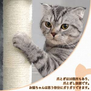 大型猫もOKの室内用キャットタワー、ハンモック付き