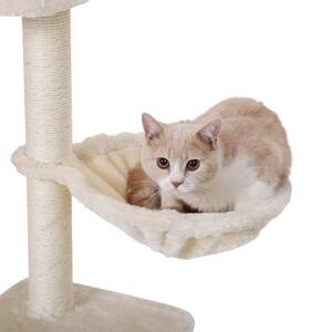  low .. step difference . exist cat tower,. cat .sinia cat . recommendation 