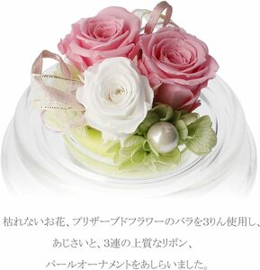  compact preserved flower gift set po M ( pink ) free gift setting 