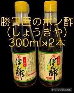 勝貴屋のポン酢 (しょうきやのぽんず)300ml×2本　賞味期限　2025年05月01日