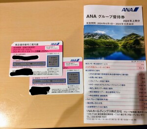 ANA グループ優待券 全日空 2枚 冊子 匿名配送 　送料無料