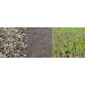 芝生の種・美しい緑を保つTOP-GREEN 500g×2(芝)送料無料の画像6