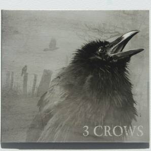 『3 Crows』Brett Garsed, Virgil Donati. Chris Buck ハード・フュージョン/ジャズ・ロック/プログレッシヴの画像1