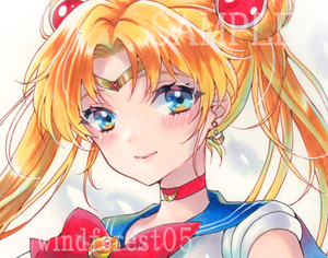  Sailor Moon autograph same person hand-drawn illustrations A4 kent paper 