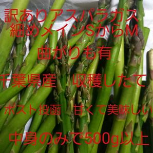 千葉県産　アスパラガス500g以上　細めメイン　訳あり　千葉県産　ポスト投函　甘くて美味しい　曲がりもあり