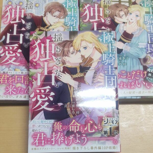 【３巻新刊】極上騎士団長の揺るぎない独占愛 1～3巻 セット 