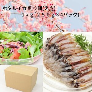 1 ホタルイカ 釣り餌(えさ)【ー６０℃急速冷凍】 訳あり 約１ｋｇ