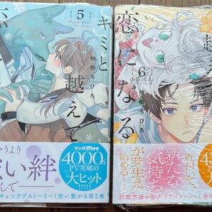 キミと越えて恋になる5巻・6巻【2冊セット・バラ売り不可】（マーガレットコミックス） 柚樹ちひろ／著