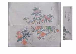 日本画／中国画／花木／花鳥／模写／写生／清代画家：鶴浦高鈞筆花鳥画模写など／京都博物館内での写生や模写あり／昭和初期／13枚